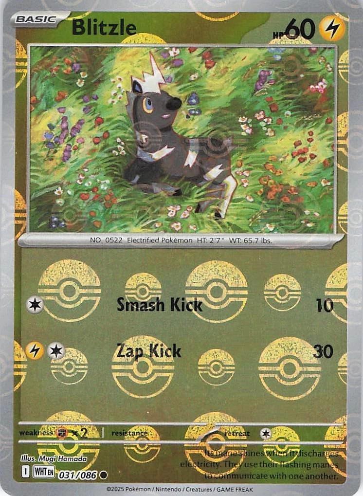 Blitzle 031/086 Poke Ball