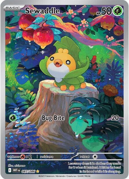 Sewaddle  087/086