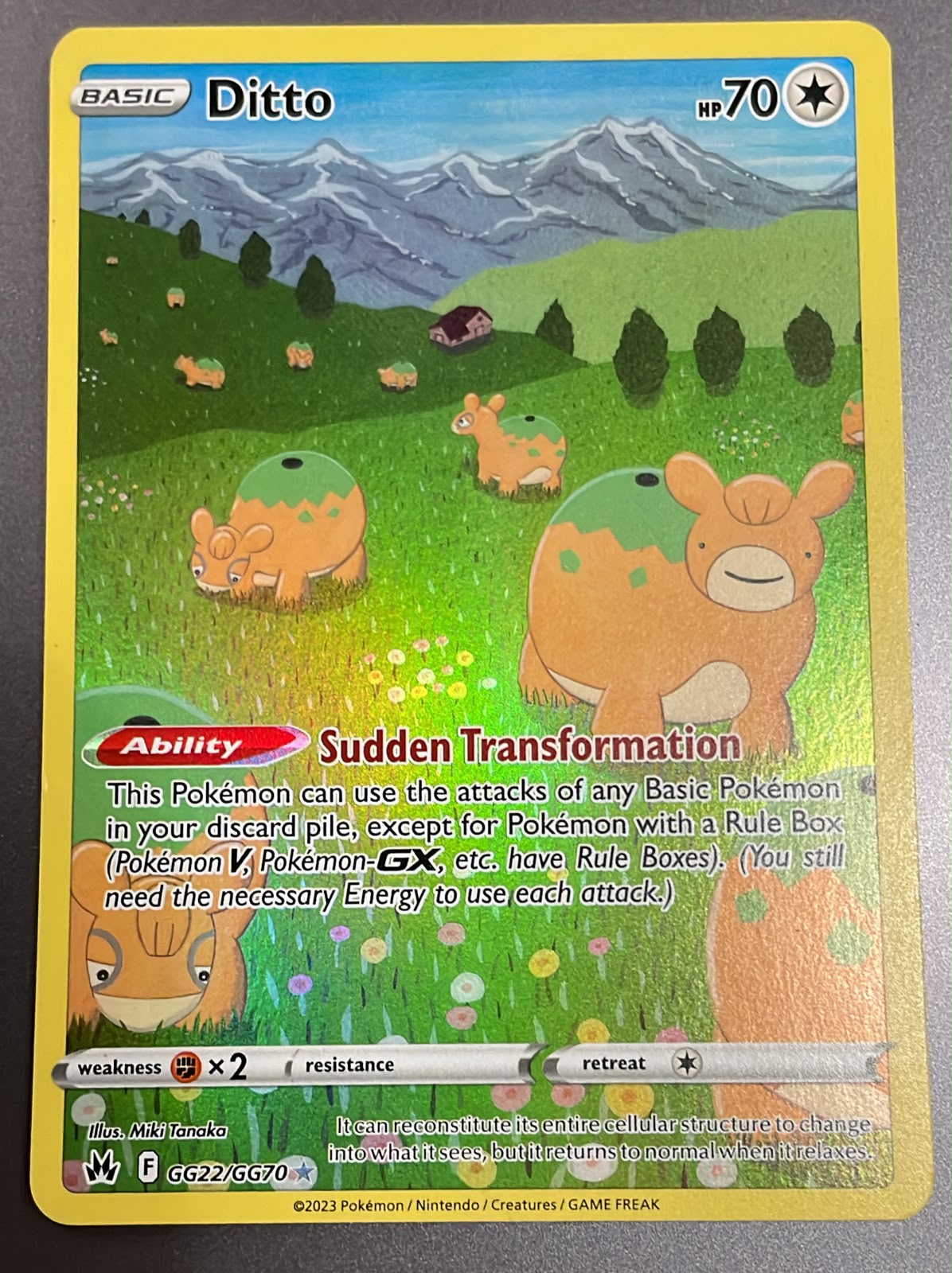 Ditto GG22/GG70