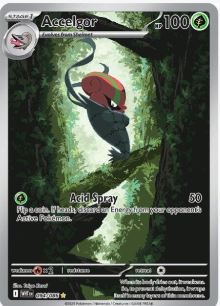 Accelgor - 094/086