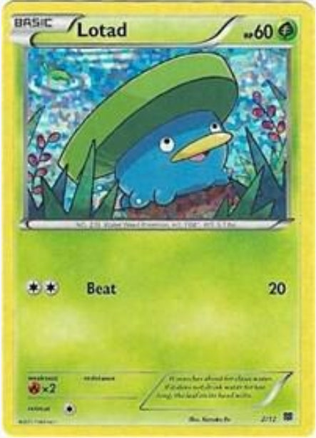 Lotad 2/12 HOLO