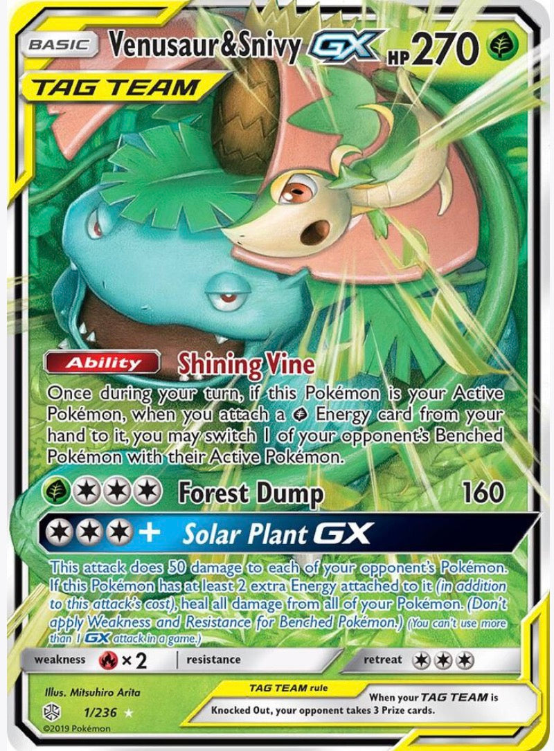 Venusaur & Snivy GX 1/236