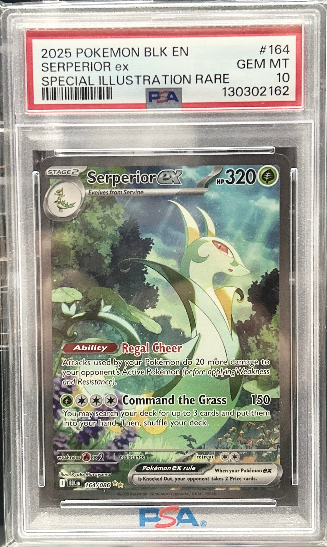 Serperior EX 164 PSA 10