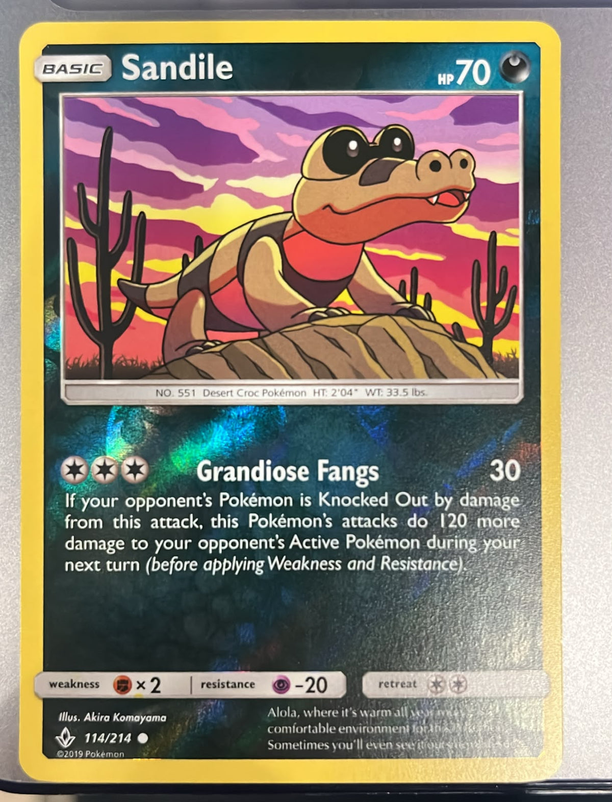 Sandile 114/214