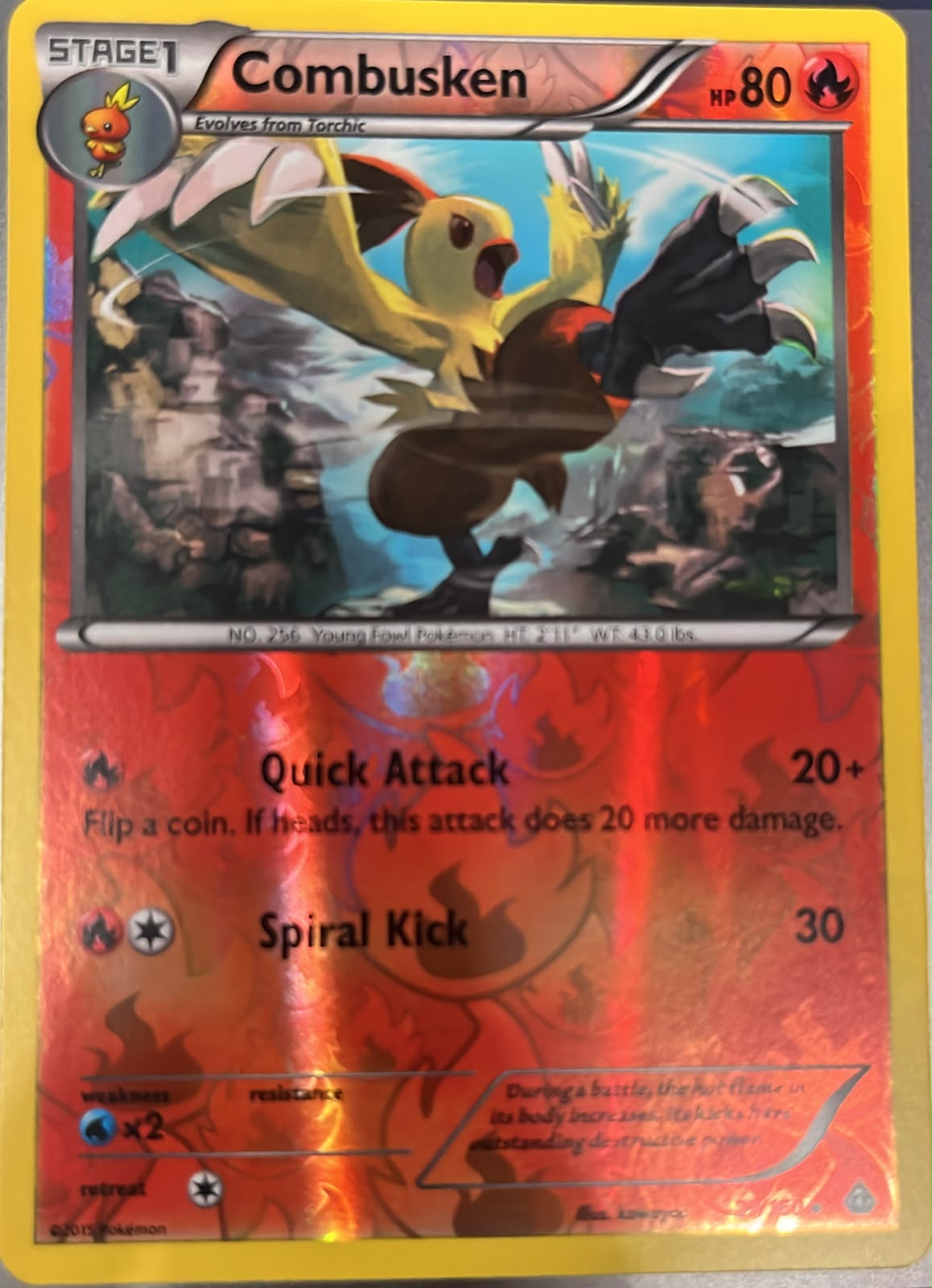 Combusken 27/160