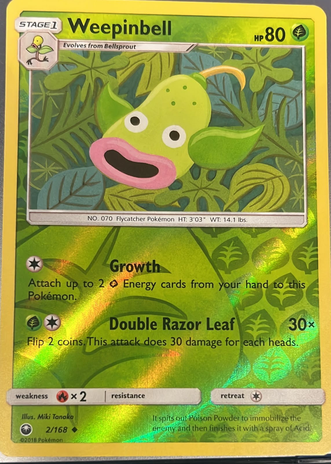 Weepinbell 2/168