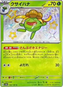 Gloom 192/190 JAPO