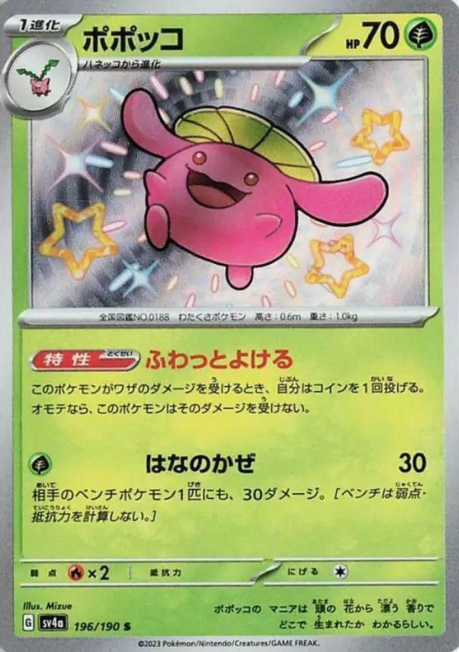 Skiploom 196/190 JAPO
