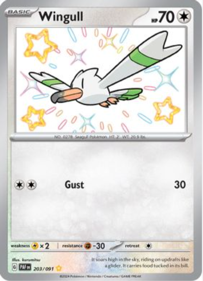 Wingull 203/091