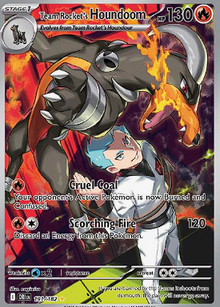 Team Rocket's Houndoom 191/182