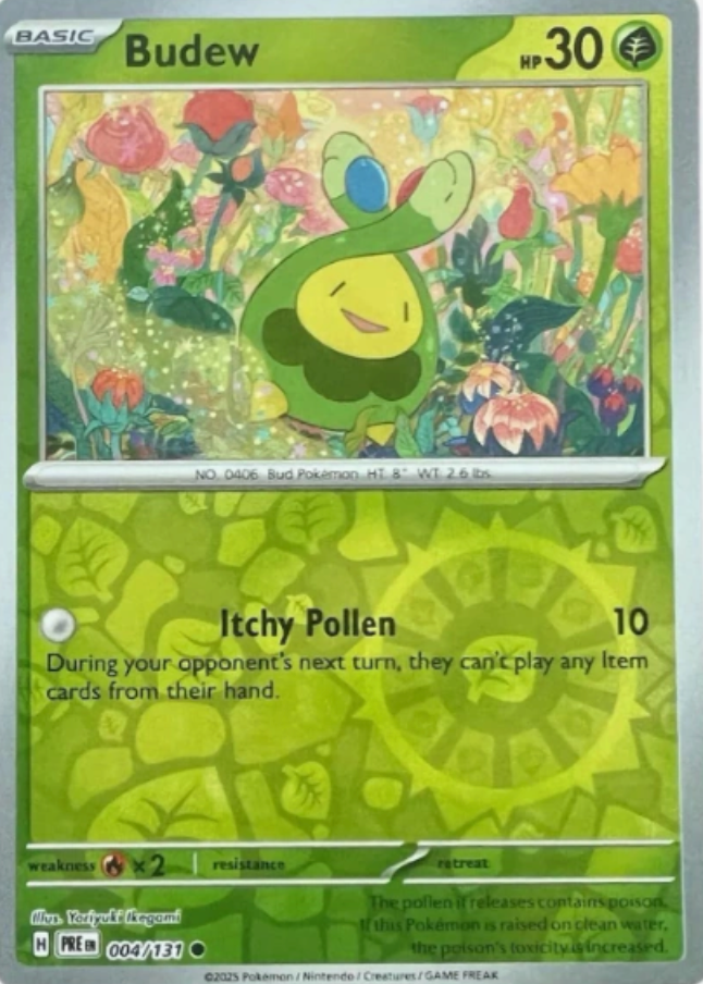 Budew 004/131