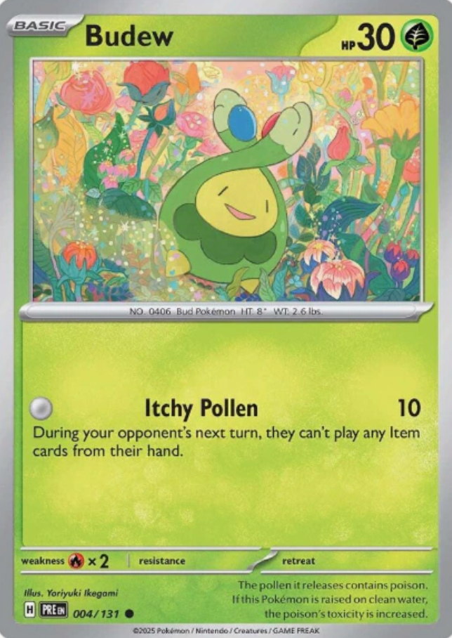 Budew 004/131