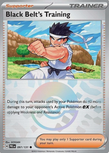 Black belt's training 097/131 Poke Ball