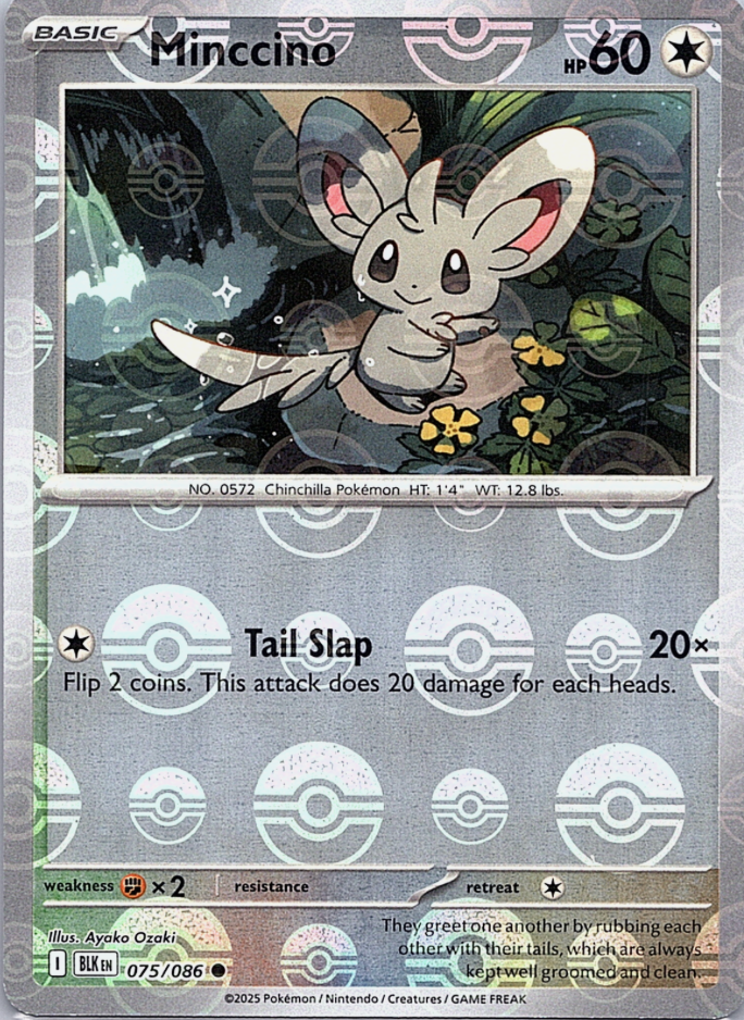 Minccino 075/086 Poke Ball