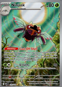 Ninjask 137/132