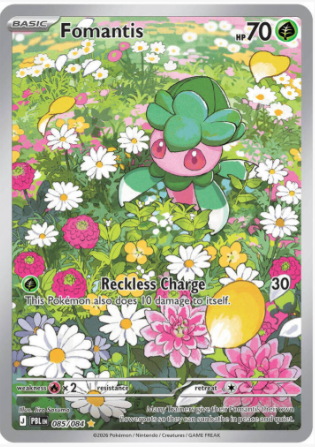 Fomantis 085/084