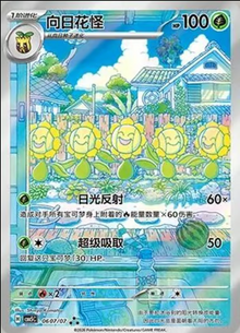 Sunflora 0607/07 Chino