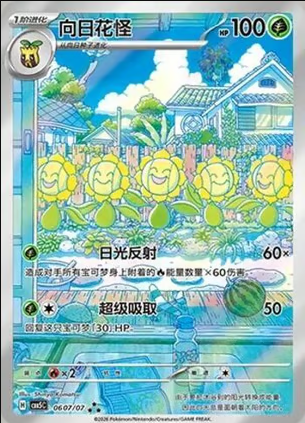Sunflora 0607/07 Chino
