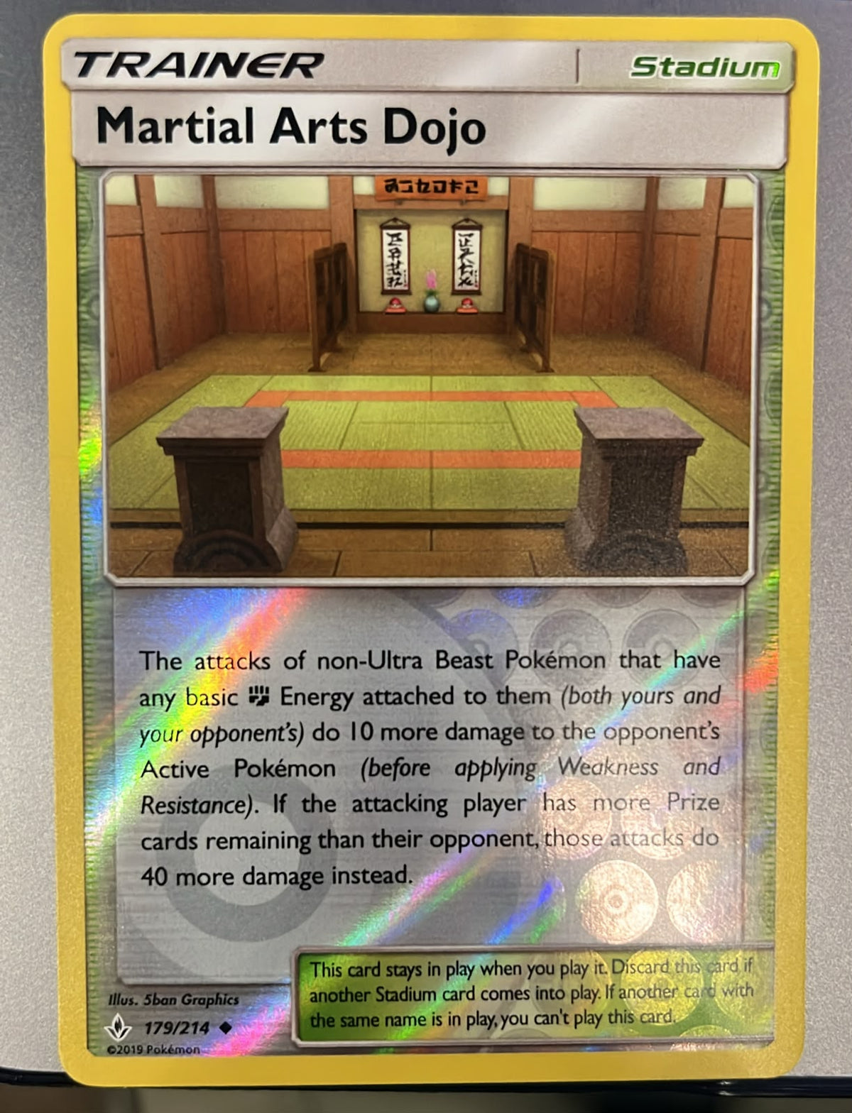 Martial Arts Dojo 179/214
