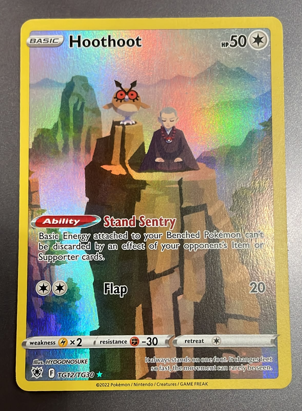 Hoothoot TG12/TG30