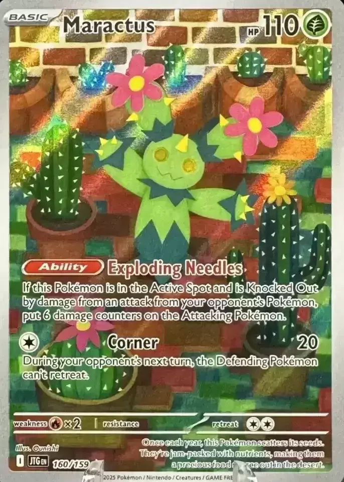 Maractus 160/159